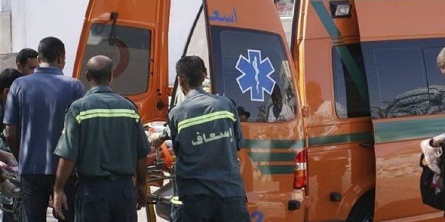 يزهق 4 أرواح ويصيب 15 شخصا، "ميكروباص الموت" ينقلب على صحراوي المنيا