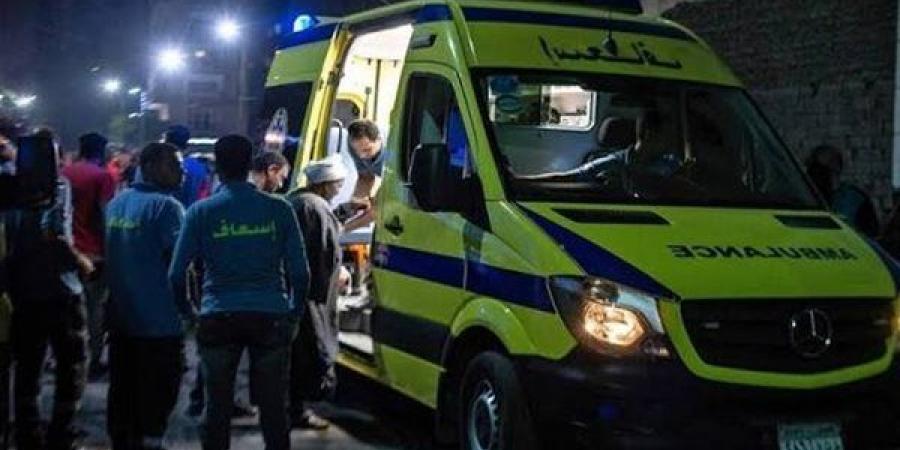 سقوط طفلة من ارتفاع في قنا ونقلها إلى المستشفى الجامعي في حالة خطرة - النيل نيوز