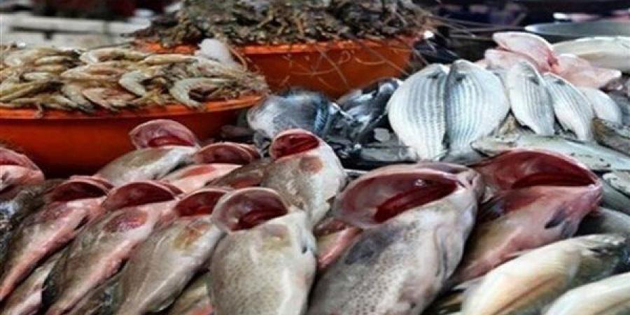 أسعار السمك اليوم، البلطي يسجل 72 جنيها "جملة" والبوري يغري المصريين - النيل نيوز