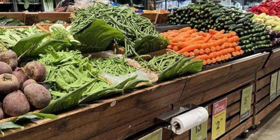 سعر الخضار اليوم، انخفاض 5 جنيهات في الليمون البلدي وارتفاع البطاطس والبصل - النيل نيوز