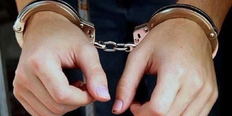 مشوار يتحول إلى خناقة، ضبط قائد سيارة ملاكي طلب أجرة زائدة واعتدى لفظيا على سيدة بالبحيرة - النيل نيوز