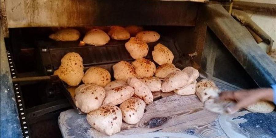 اليوم، "المخابز" تعقد اجتماعا مع وزير التموين لمناقشة الدعم النقدي وأزمة بيع الخبز الحر - النيل نيوز