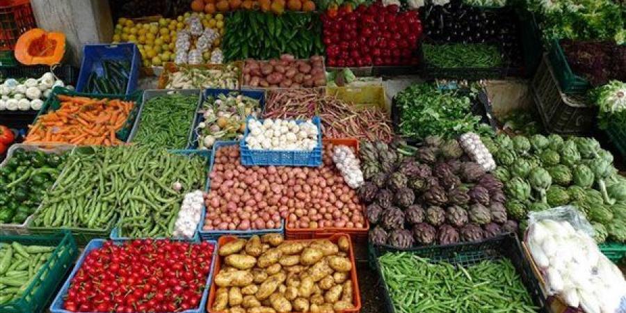 سعر الخضار اليوم، ارتفاع البامية والبطاطس والكوسة وتراجع الليمون إلى 25 جنيها - النيل نيوز