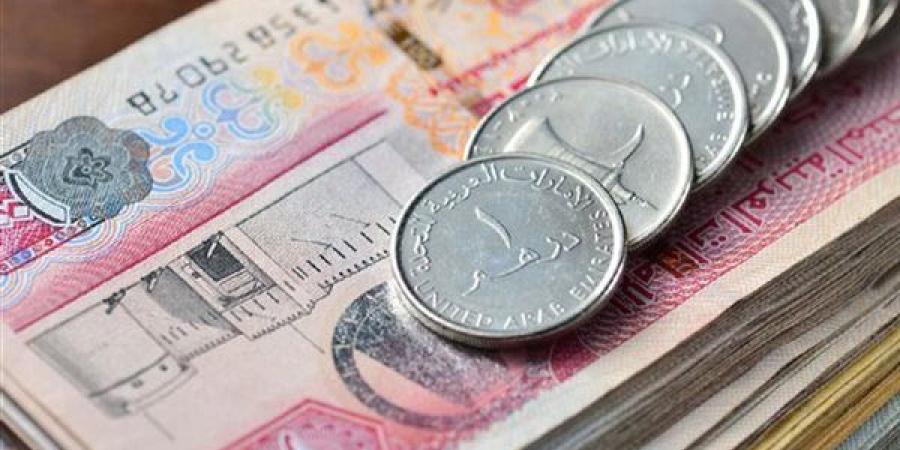 سعر الدرهم الإماراتي مقابل الجنيه في البنك المركزي (تحديث لحظي) - النيل نيوز
