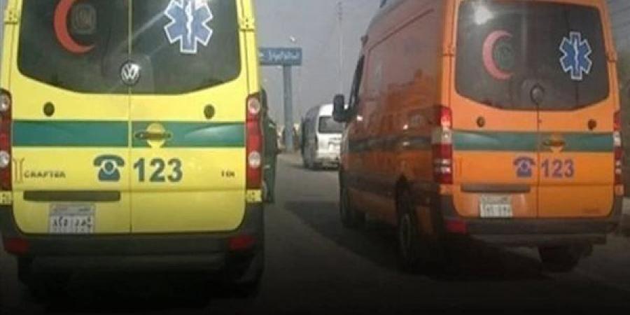 بالأسماء، مصرع شاب وإصابة 8 آخرين في حادث تصادم بالطريق الدولي بالبحيرة - النيل نيوز