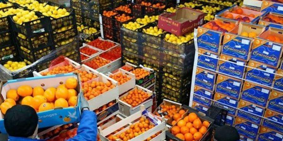 صادرات الصناعات الغذائية تحقق قفزة تاريخية بـ4.47 مليار دولار خلال 7 أشهر - النيل نيوز
