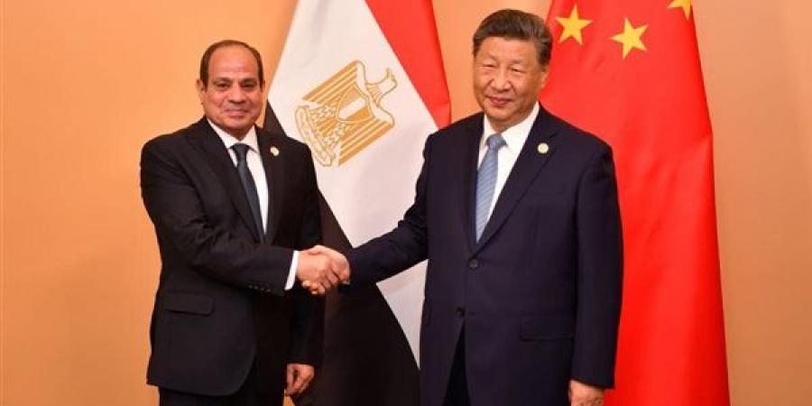 متحدث الرئاسة: رئيس الصين يزور مصر ويلتقي السيسي خلال أيام - النيل نيوز