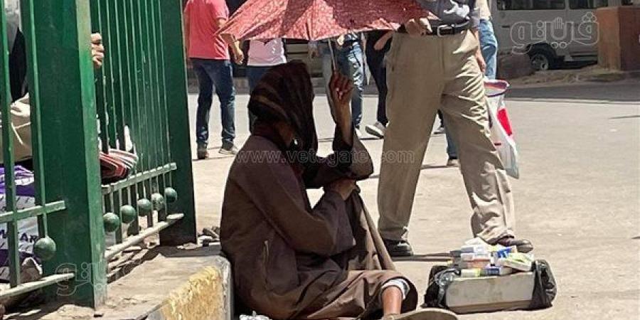 درجات الحرارة المحسوسة غدا الخميس بالقاهرة والمحافظات - النيل نيوز