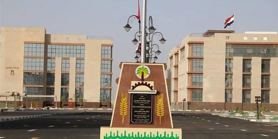 64 فرصة عمل للشباب بالوادي الجديد في القطاع الزراعي - النيل نيوز