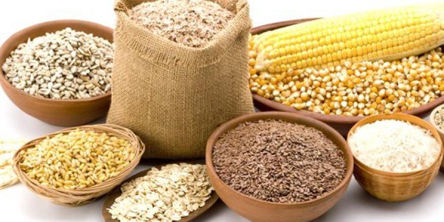 شملت جميع الأنواع، قفزة في أسعار الأعلاف والحبوب اليوم الخميس بالأسواق - النيل نيوز