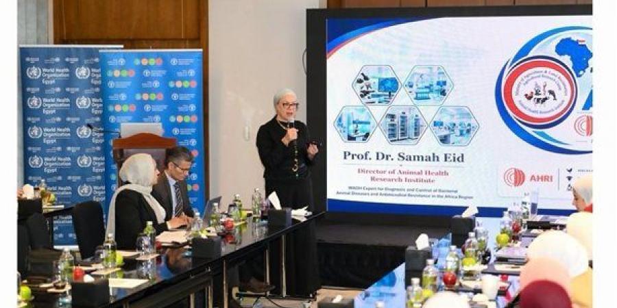 "الصحة الحيوانية" تشارك في ورشة "الفاو" لمواجهة مقاومة المضادات الحيوية - النيل نيوز