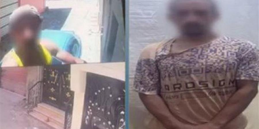 خلافات الجيرة تنتهي بسرقة كاميرا مراقبة وتحطيم سيارة في الشرقية، وضبط المتهم - النيل نيوز