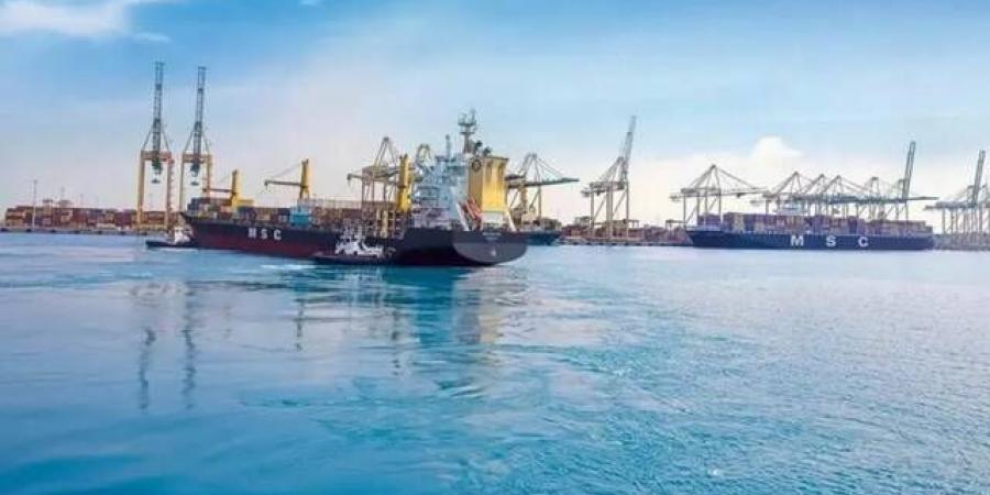"موانئ" تحدث مسار خدمة شحن تابعة لـ"MSC" لتشمل باب المندب وقناة السويس - النيل نيوز