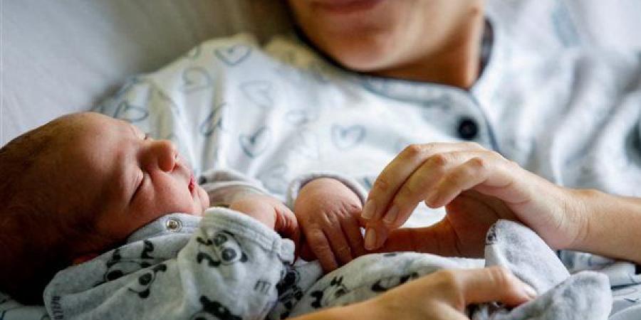 ليس بكثرة العدد، الإفتاء تكشف ضوابط الإنجاب في الإسلام - النيل نيوز
