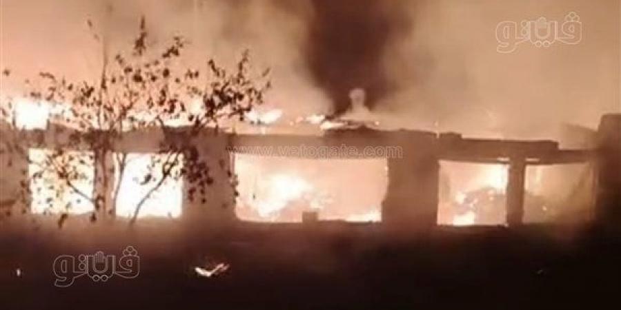 حريق هائل يلتهم مزرعة دواجن بالمحلة في الغربية (فيديو) - النيل نيوز