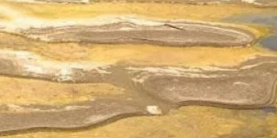 نهر الدانوب يفضح أسرار الحرب.. الجفاف يكشف جثتى جنديين ودراجة عسكرية - النيل نيوز
