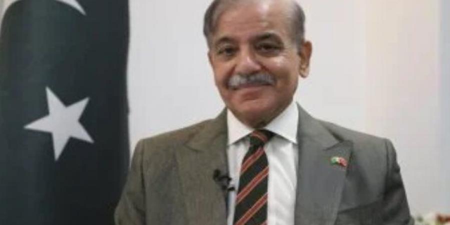 شهباز شريف يوقف 8 مسؤولين ويطالب بملاحقتهم جنائيا بعد مقتل 14 رضيعًا بحريق مستشفى - النيل نيوز