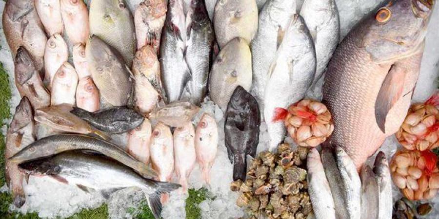 ارتفاع البوري وانخفاض البلطي والجمبري، أسعار السمك اليوم الإثنين 31 أغسطس 2026 - النيل نيوز