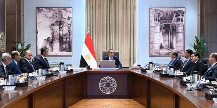 من 12 إلى 30 سلعة، الحكومة تعلن خطة جديدة لخفض الأسعار وتوفير السلع - النيل نيوز