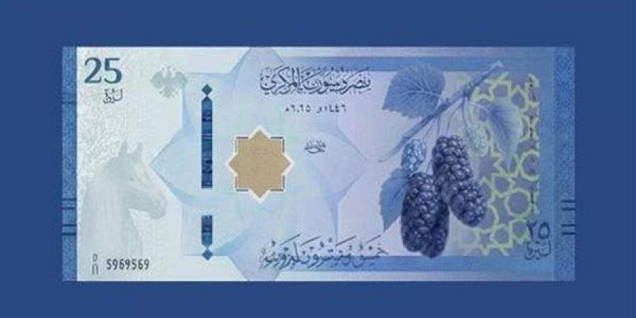 سعر الدولار مقابل الليرة السورية في مصرف سوريا المركزي مساء اليوم - النيل نيوز