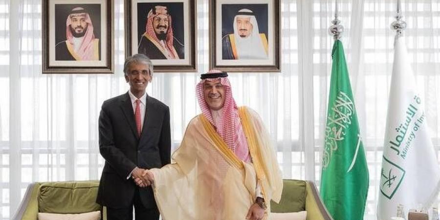 السعودية تبحث مع "تيماسيك" السنغافورية فرصًا جديدة لتعزيز الشراكة الاستثمارية - النيل نيوز