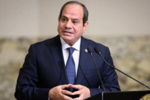 الرئيس السيسي يتحدث عن تكاليف بناء السد الإثيوبي ويؤكد: حماية وجودنا أولوية قصوى