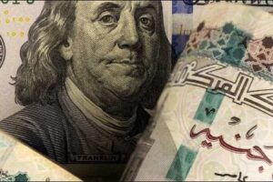 خبير اقتصادي يكشف عن تأثير مرونة سعر الصرف وآفاق النمو في المرحلة القادمة