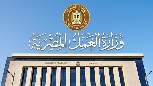 طرح 200 وظيفة لعمّال النخيل في الواحات البحرية براتب شهري يصل إلى 9 آلاف جنيه