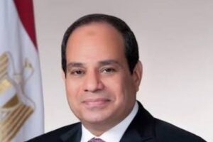 الرئيس السيسي يشرف على آخر التطورات في توسيع استخدام كارت الخدمات الحكومية الموحد