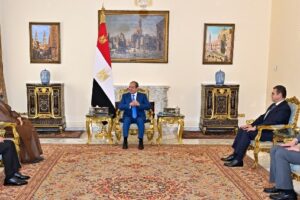 الرئيس السيسي يؤكد التزام مصر بأمن واستقرار العراق الشقيق