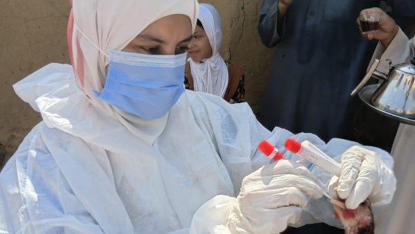 الزراعة تعزز جهود فحص مزارع الدواجن لمواجهة الأوبئة الصحية