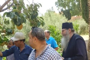 تحركات مكثفة من وزارة الزراعة لحماية محاصيل سيناء من خلال جولات ميدانية وحملات تفتيشية