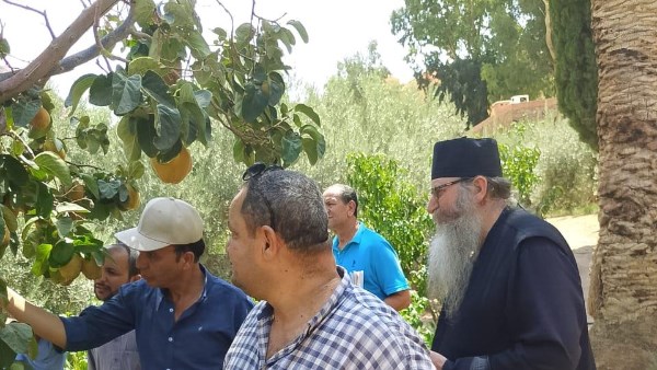 تحركات مكثفة من وزارة الزراعة لحماية محاصيل سيناء من خلال جولات ميدانية وحملات تفتيشية