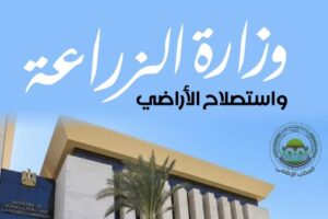 تدريب 70 قياديًا في الزراعة لتعزيز صادرات المحاصيل المصرية إلى الأسواق العالمية