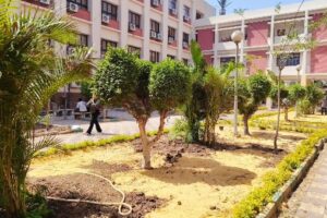 جامعة عين شمس توضح أسباب إزالة الأشجار بكلية التجارة وأبرز التصاميم الجديدة للمساحات الخضراء