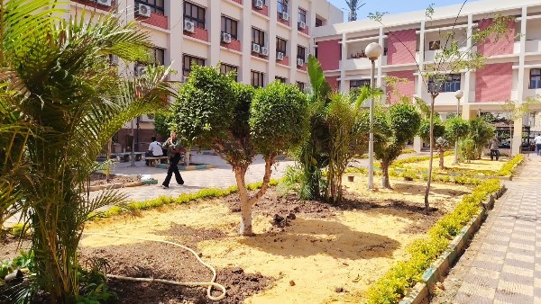 جامعة عين شمس توضح أسباب إزالة الأشجار بكلية التجارة وأبرز التصاميم الجديدة للمساحات الخضراء