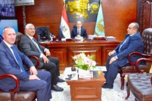 تكثيف جهود صيانة وتحسين كفاءة شبكات الكهرباء في الغربية من قبل كهرباء جنوب الدلتا