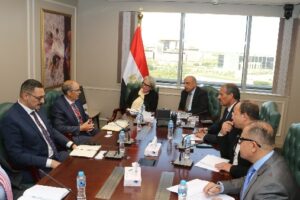 وزير الكهرباء يبحث مع سفيرة فنلندا فرص الاستثمار في الطاقة المتجددة