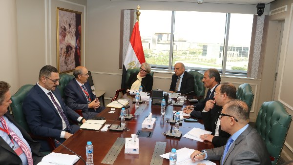 وزير الكهرباء يبحث مع سفيرة فنلندا فرص الاستثمار في الطاقة المتجددة