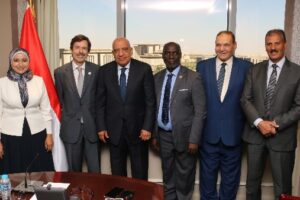 وزير الكهرباء يقضي بتعزيز دور الخبراء المصريين في وضع المواصفات الدولية