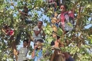 أطفال ملوي يتسلقون الأشجار لمشاهدة البابا تواضروس بأسلوب زكا العشار