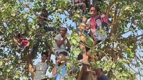 أطفال ملوي يتسلقون الأشجار لمشاهدة البابا تواضروس بأسلوب زكا العشار