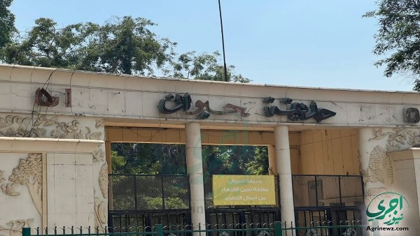 استعدادات مثيرة تترقب زوار حديقة الحيوان بالجيزة قبل افتتاحها