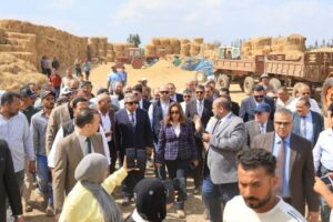 وزيرة التنمية المحلية ومحافظ الدقهلية يقومان بجولة تفقدية لموقع تجميع قش الأرز في بلقاس
