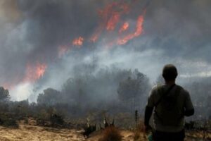 حريق هائل يندلع في كولومبيا ويشمل 290 هكتاراً مهدداً محمية طبيعية