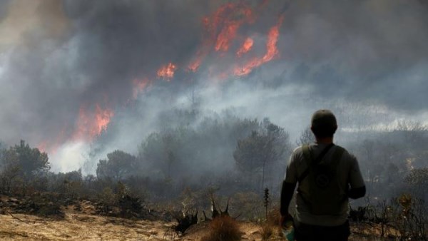 حريق هائل يندلع في كولومبيا ويشمل 290 هكتاراً مهدداً محمية طبيعية