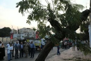 وزيرة التنمية المحلية تشرف على عملية إزالة شجرة سقطت على مبنى في مصر الجديدة