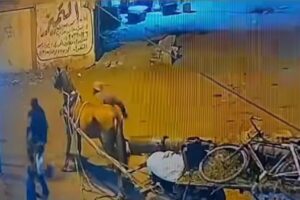 شاب يعتدي على آخر في المحلة باستخدام جنزير و15 غرزة نتيجة خلافات سابقة